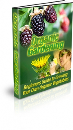 Organic Gardening